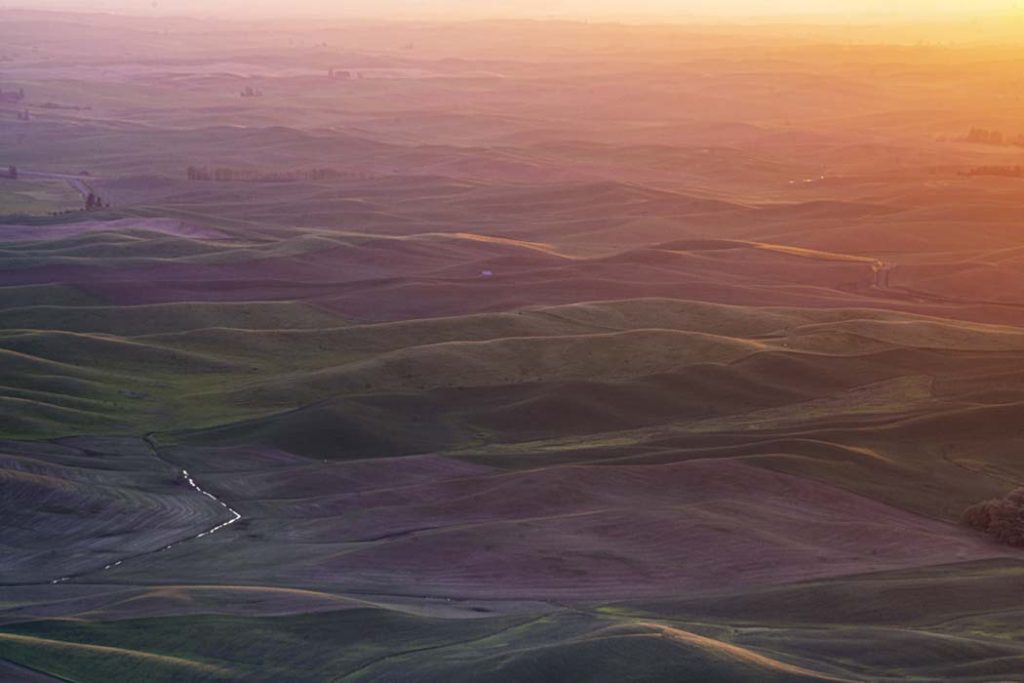 The Palouse At Dawn - Susan Quinn